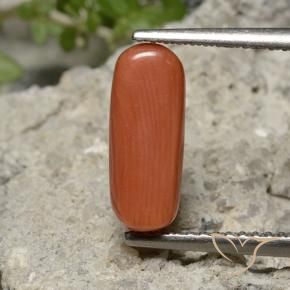 Corallo Arancia Fuoco naturale da 2.25 ct, Ovale, Opaco