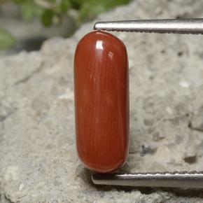 Corallo Rosso arancione naturale da 2.68 ct, Taglio ovale, Opaco