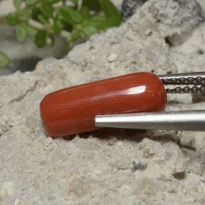 Corallo Rosso arancione naturale da 2.68 ct, Taglio ovale, Opaco