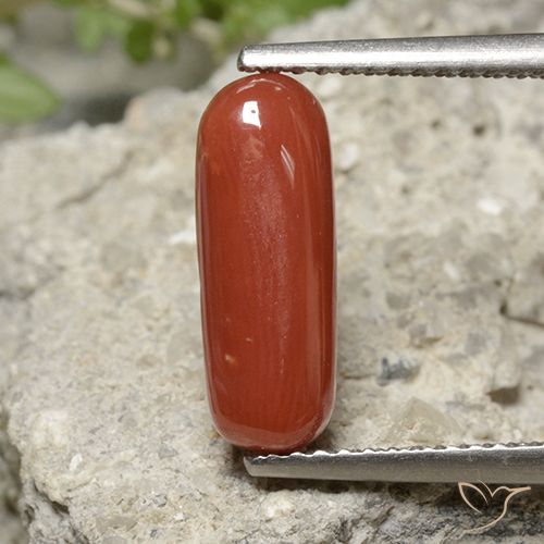 2.22ct Naturale Rosso arancione Corallo, Ovale, Opaco