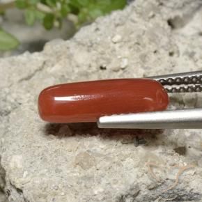 Corallo Rosso arancione naturale da 2.22 ct, Ovale, Opaco