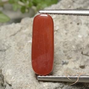 Corallo Rosso arancione naturale da 2.22 ct, Ovale, Opaco