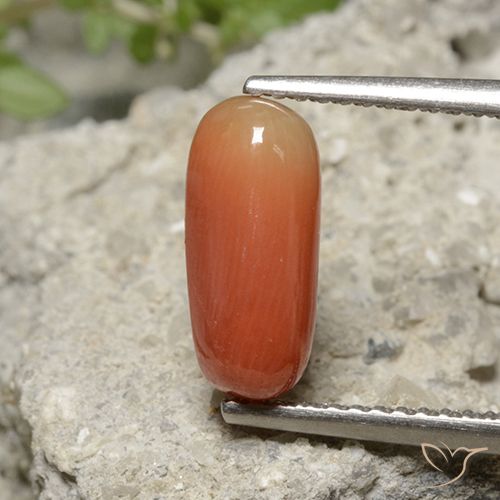 2.36ct Naturale Arancia Fuoco Corallo, Ovale, Opaco