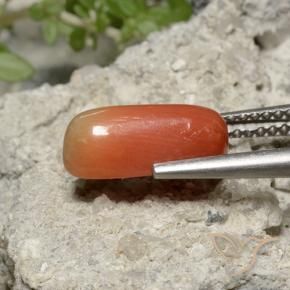 Corallo Arancia Fuoco naturale da 2.36 ct, Ovale, Opaco