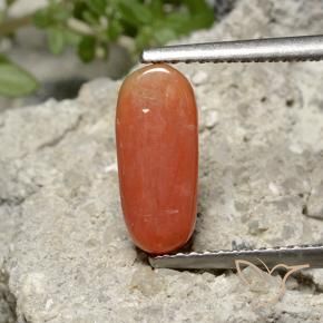Corallo Arancia Fuoco naturale da 2.36 ct, Ovale, Opaco