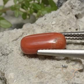 Corallo Arancio Medio naturale da 2.05 ct, Ovale, Opaco