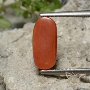 Corallo Arancio Medio naturale da 2.05 ct, Ovale, Opaco