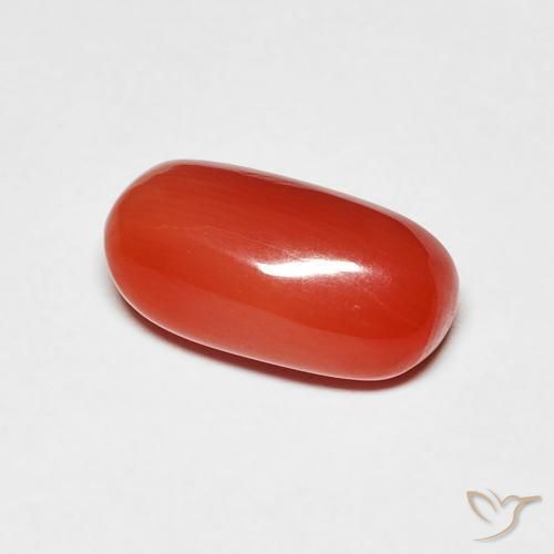 Corallo Rosso medio naturale da 2.11 ct, Ovale, Opaco