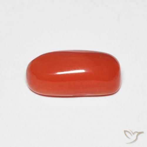 Corallo Rosso medio naturale da 2.11 ct, Ovale, Opaco