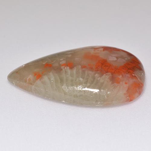 Corallo naturale multicolore da 8,29 ct, taglio a pera, traslucido