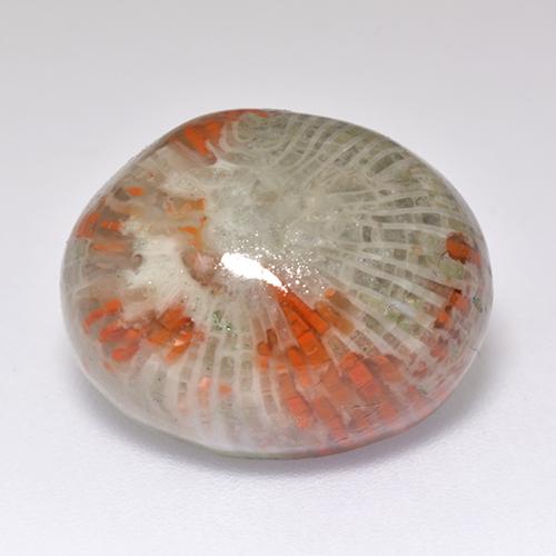 Corallo naturale multicolore da 13,38 ct, taglio ovale, traslucido