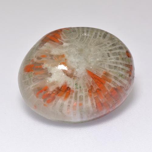 Corallo naturale multicolore da 13,38 ct, taglio ovale, traslucido