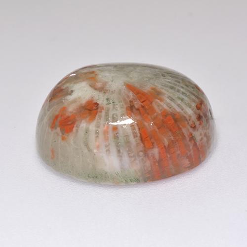Corallo naturale multicolore da 13,38 ct, taglio ovale, traslucido