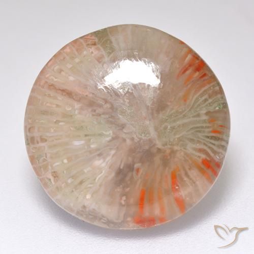 8.32ct Naturale Multicolore Corallo, Rotondo, Traslucido