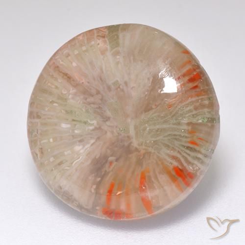 Corallo Multicolore naturale da 8.32 ct, Rotondo, Traslucido