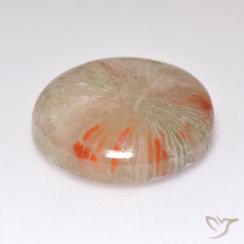 Corallo Multicolore naturale da 8.32 ct, Rotondo, Traslucido