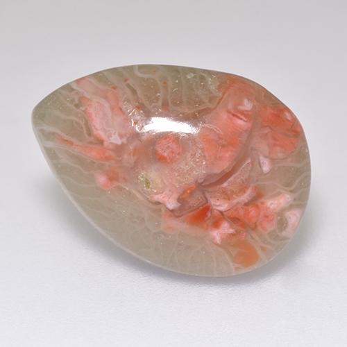Corallo naturale multicolore da 5,97 ct, taglio a pera, traslucido