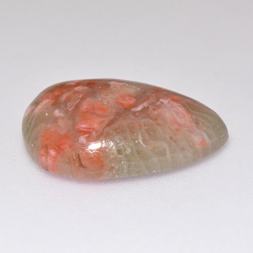 Corallo naturale multicolore da 5,97 ct, taglio a pera, traslucido