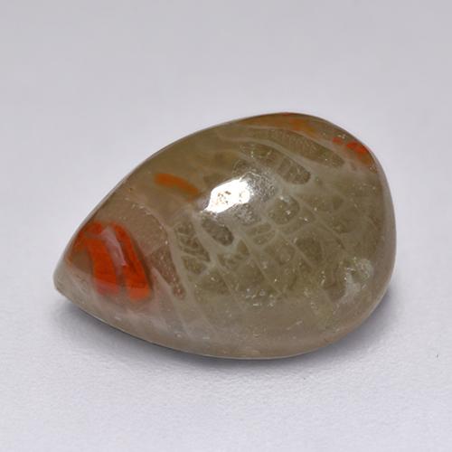 Corallo naturale multicolore da 2,23 ct, taglio a pera, traslucido