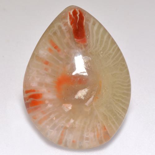 Corallo naturale multicolore da 9,83 ct, taglio a pera, traslucido
