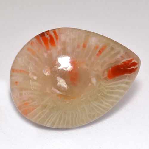 Corallo naturale multicolore da 9,83 ct, taglio a pera, traslucido
