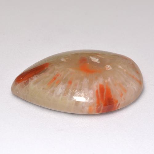 Corallo naturale multicolore da 9,83 ct, taglio a pera, traslucido