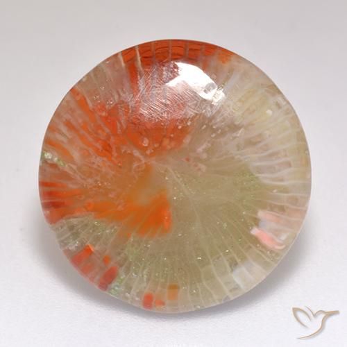 9.29ct Naturale Multicolore Corallo, Rotondo, Traslucido