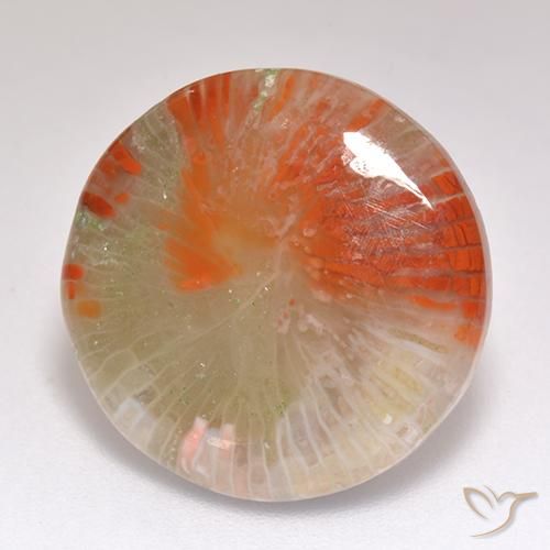 Corallo Multicolore naturale da 9.29 ct, Rotondo, Traslucido