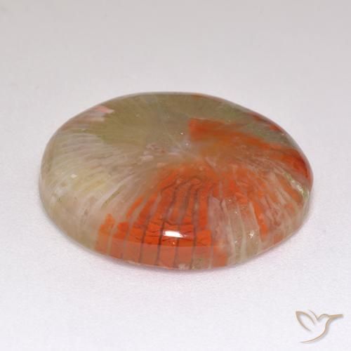 Corallo Multicolore naturale da 9.29 ct, Rotondo, Traslucido