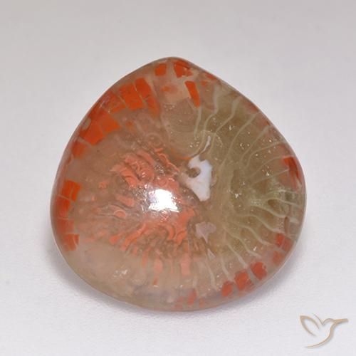 Corallo Multicolore naturale da 9.67 ct, Forma a pera, Traslucido