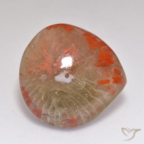Corallo Multicolore naturale da 9.67 ct, Forma a pera, Traslucido