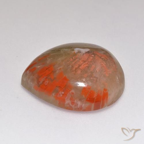 Corallo Multicolore naturale da 9.67 ct, Forma a pera, Traslucido