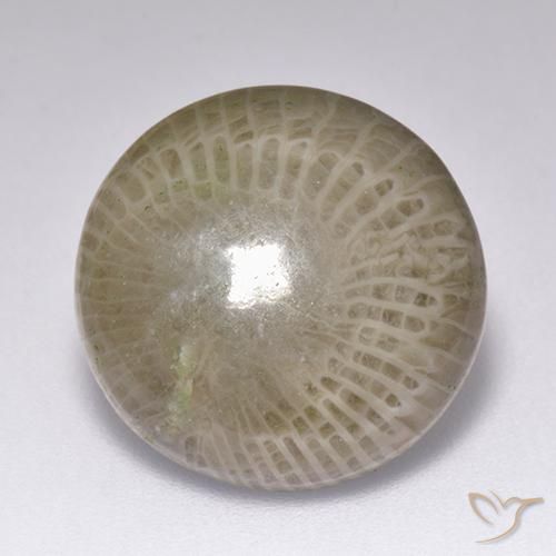 9.39ct Naturale Multicolore Corallo, Rotondo, Opaco