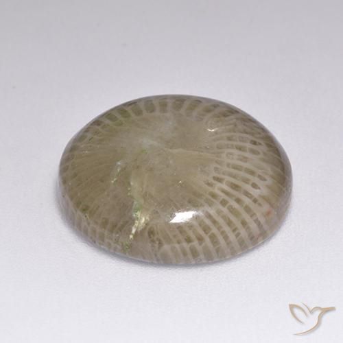 Corallo Multicolore naturale da 9.39 ct, Rotondo, Opaco