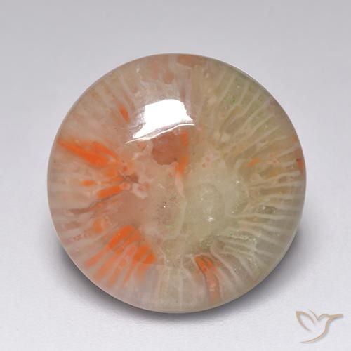 7.51ct Naturale Multicolore Corallo, Rotondo, Traslucido
