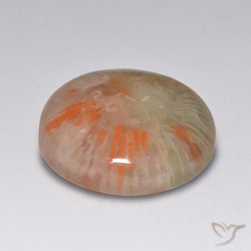 Corallo Multicolore naturale da 7.51 ct, Rotondo, Traslucido