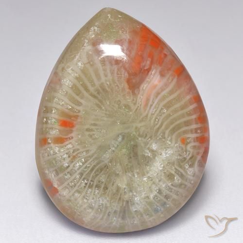 Corallo naturale multicolore da 9,84 ct, taglio a pera, traslucido