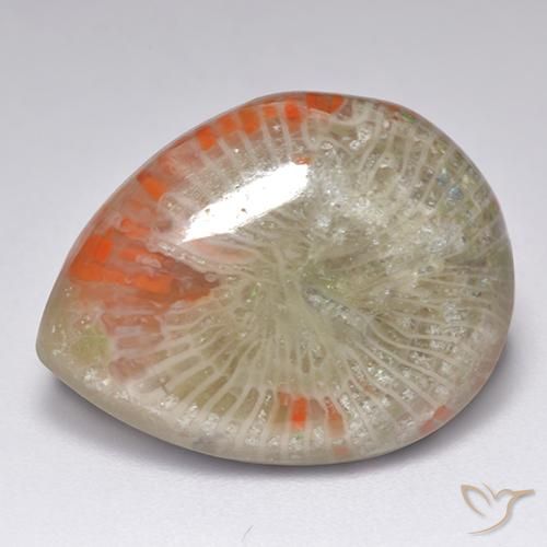 Corallo naturale multicolore da 9,84 ct, taglio a pera, traslucido