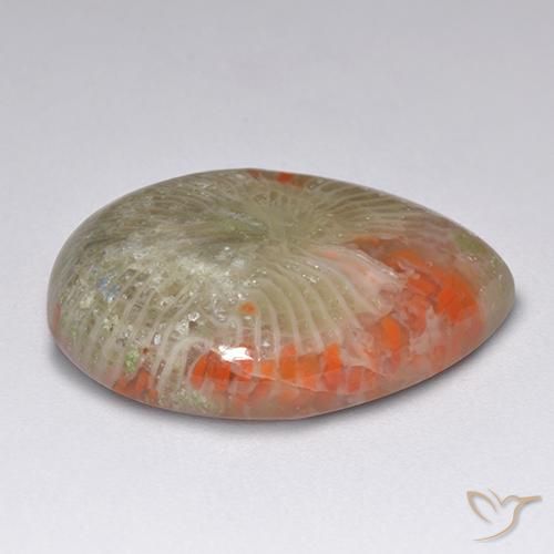 Corallo naturale multicolore da 9,84 ct, taglio a pera, traslucido