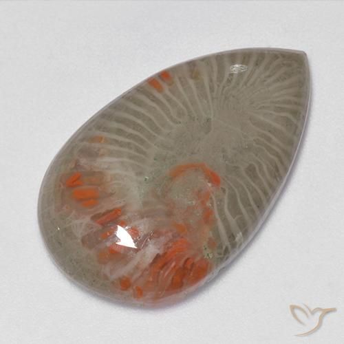 15.23ct Naturale Multicolore Corallo, Forma a pera, Traslucido