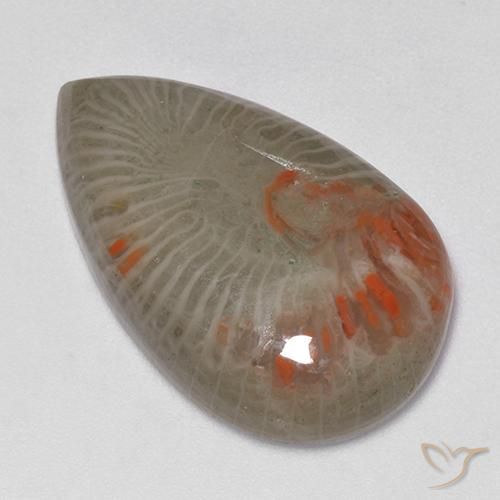 Corallo Multicolore naturale da 15.23 ct, Forma a pera, Traslucido