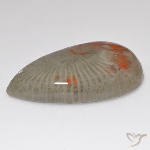 Corallo Multicolore naturale da 15.23 ct, Forma a pera, Traslucido