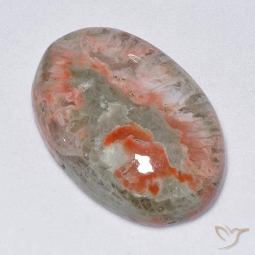 13.71ct Naturale Multicolore Corallo, Ovale, Traslucido