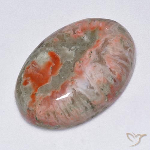 Corallo Multicolore naturale da 13.71 ct, Ovale, Traslucido