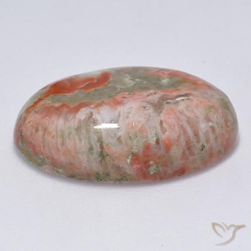 Corallo Multicolore naturale da 13.71 ct, Ovale, Traslucido