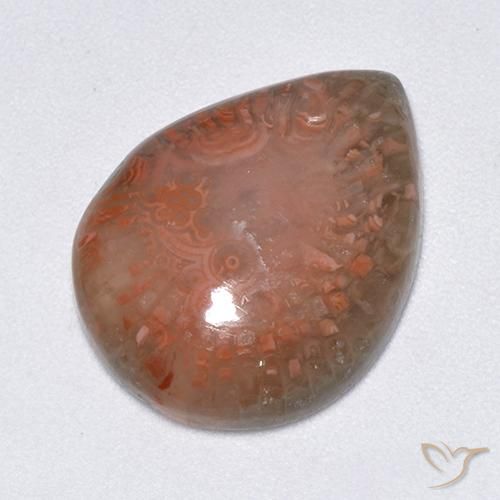 9.51ct Naturale Multicolore Corallo, Forma a pera, Traslucido, Photo A