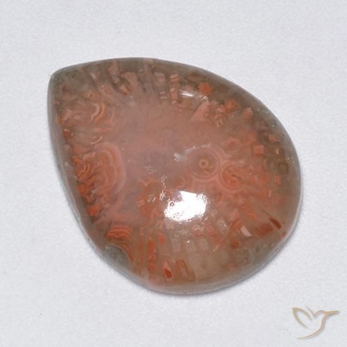 Corallo Multicolore naturale da 9.51 ct, Forma a pera, Traslucido