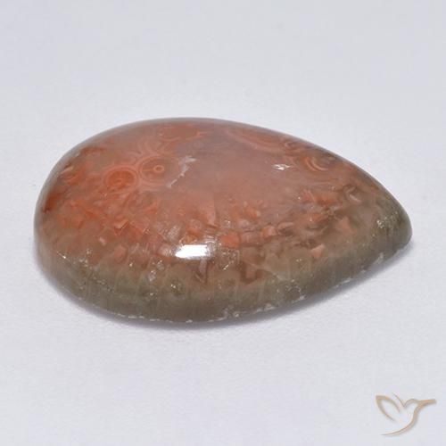 Corallo Multicolore naturale da 9.51 ct, Forma a pera, Traslucido