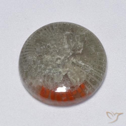 6.25ct Naturale Multicolore Corallo, Rotondo, Traslucido
