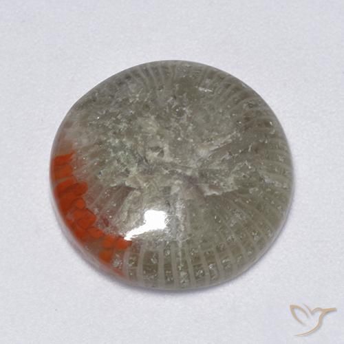 Corallo Multicolore naturale da 6.25 ct, Rotondo, Traslucido